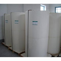 PE coated paper