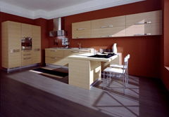 mordern kitchen cabinet