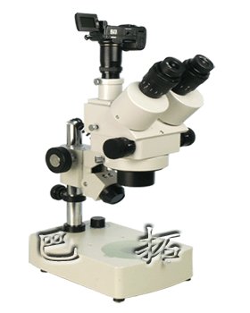 體視顯微鏡