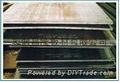 舞陽鋼廠優質板材供應 4