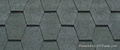 asphalt shingles 2