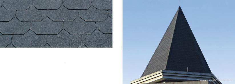 asphalt shingles 3