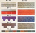 roof asphalt shingles 1