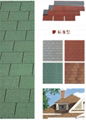 roof asphalt shingles 2