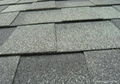 roof asphalt shingles 3