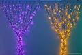 led curtain light ( christmas lighting, holiday lighting)