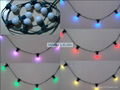 Sell led Mini belt light(led festoon light, led belt light) 1