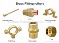 other brass fittings 1
