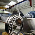 roller bearing