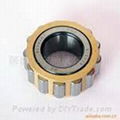 cylindrical roller bearing