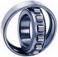 cylindrical roller bearing 4