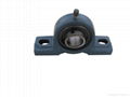 pillow block bearing 2