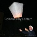 Paper Lanterns 4