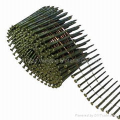 Coil nails China Manufacture