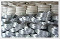 Galvanized Wire 1