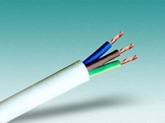 PVC Coated Wire