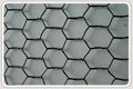 Hexagonal Wire Mesh 1