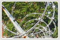 Razor Wire 1