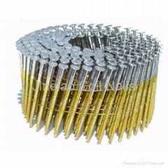 Coil Nails China Manufacaturer