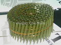 Coil Nails China Manufacaturer 3