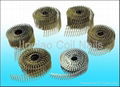 Coil Nails China Manufacaturer 4