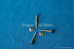 Top Quality Roofing Nails China