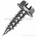 High-quality Screw Nails China Manufacturer 2