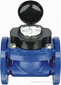 Woltman detachable water meter