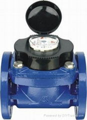 Woltman detachable water meter 