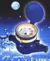 Rotary vane wheel dry-dial water meter