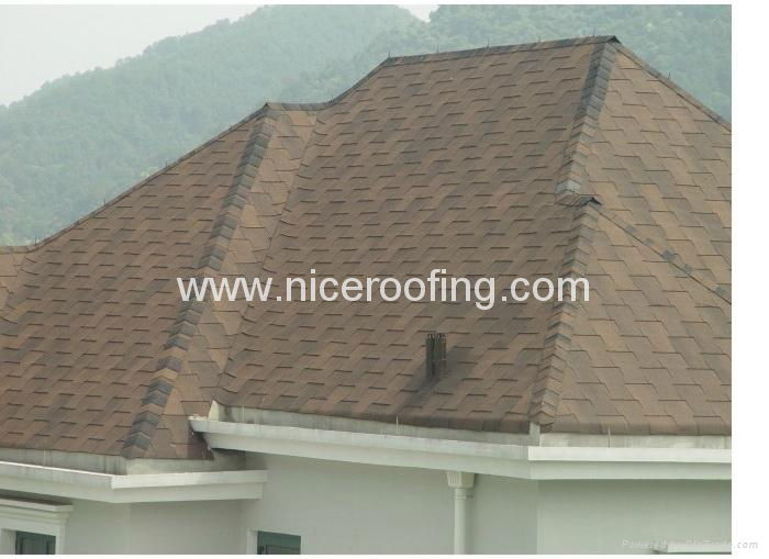 roof shingles