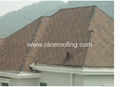 roof shingles 1