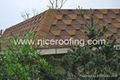 roof shingles 2