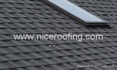 roof shingles 3