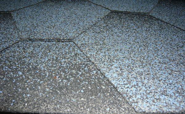 asphalt roofing shingle