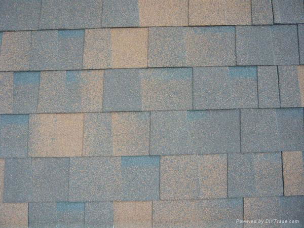 asphalt roofing shingle 3