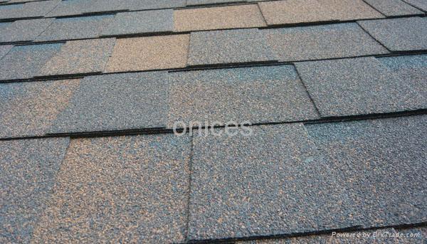 bitumen shingles 2