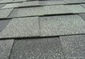 bitumen shingles 5