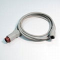 IBP transducer cable