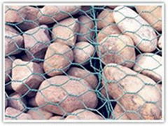 Stone gabion mesh 