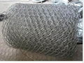 Gabion mesh 