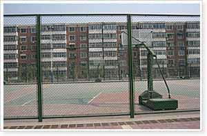 Playground Fence