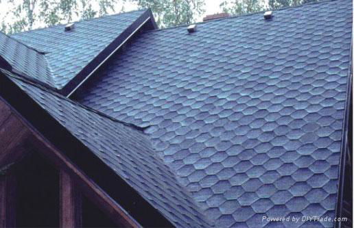 roofing tile 3