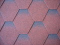 asphalt shingle 2