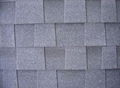 laminate shingle