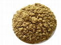 Fishmeal 2