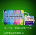 Epson Continuous Ink Supply System 1