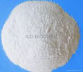 Sodium Bicarbonate 