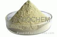 Xanthan Gum Food Grade