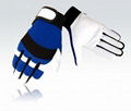 Mechanics Glove 1